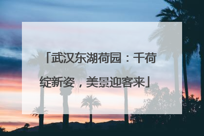 武汉东湖荷园：千荷绽新姿，美景迎客来