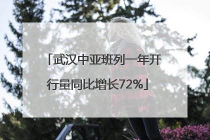 武汉中亚班列一年开行量同比增长72%