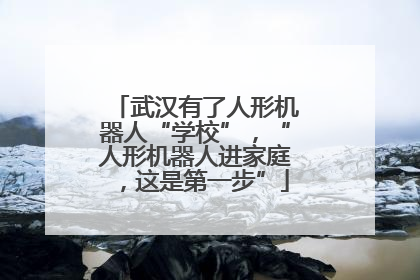 武汉有了人形机器人“学校”，“人形机器人进家庭，这是第一步”