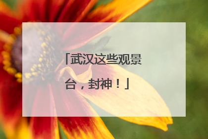 武汉这些观景台，封神！