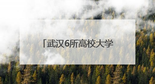 武汉6所高校大学生国旗护卫队展示邀请赛在大悟举行