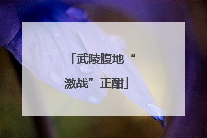 武陵腹地“激战”正酣