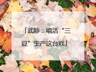 武陟：唱活“三夏”生产这台戏