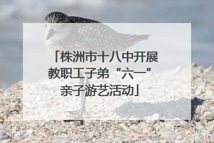 株洲市十八中开展教职工子弟“六一”亲子游艺活动