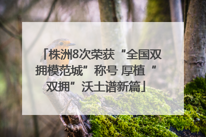 株洲8次荣获“全国双拥模范城”称号 厚植“双拥”沃土谱新篇