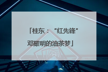 桂东：“红先锋”邓耀明的油茶梦