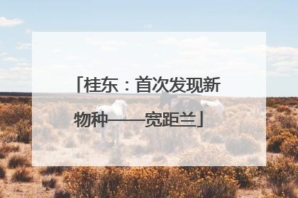 桂东：首次发现新物种——宽距兰