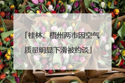 桂林、梧州两市因空气质量明显下滑被约谈