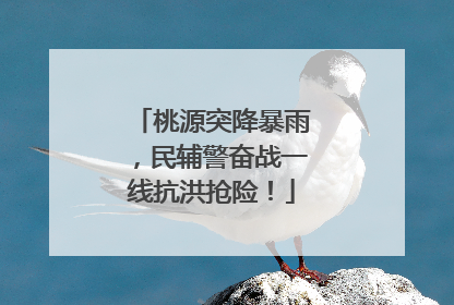 桃源突降暴雨，民辅警奋战一线抗洪抢险！