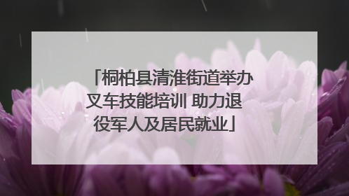 桐柏县清淮街道举办叉车技能培训 助力退役军人及居民就业