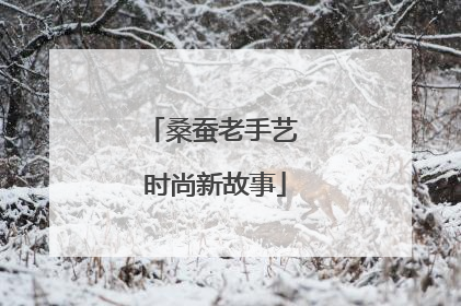 桑蚕老手艺 时尚新故事