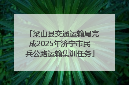 梁山县交通运输局完成2025年济宁市民兵公路运输集训任务