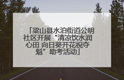 梁山县水泊街道公明社区开展“清凉饮水润心田 向日葵开花祝夺魁”助考活动