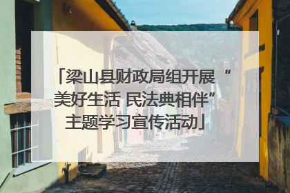 梁山县财政局组开展“美好生活 民法典相伴”主题学习宣传活动