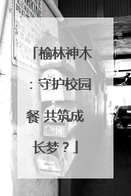 榆林神木：守护校园餐 共筑成长梦？