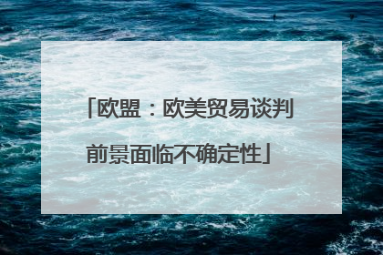 欧盟：欧美贸易谈判前景面临不确定性