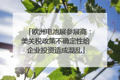 欧洲电池展参展商：美关税政策不确定性给企业投资造成混乱
