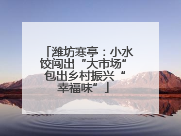 潍坊寒亭：小水饺闯出“大市场” 包出乡村振兴“幸福味”