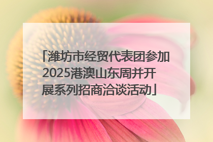 潍坊市经贸代表团参加2025港澳山东周并开展系列招商洽谈活动