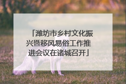 潍坊市乡村文化振兴暨移风易俗工作推进会议在诸城召开