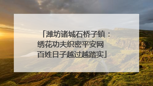 潍坊诸城石桥子镇：绣花功夫织密平安网 百姓日子越过越踏实