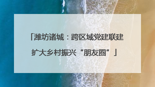 潍坊诸城：跨区域党建联建 扩大乡村振兴“朋友圈”