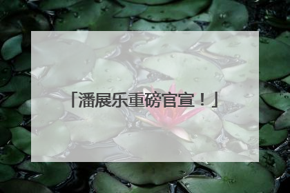 潘展乐重磅官宣！