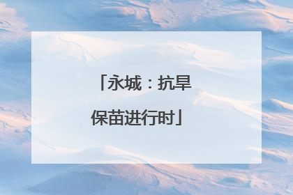 永城：抗旱保苗进行时