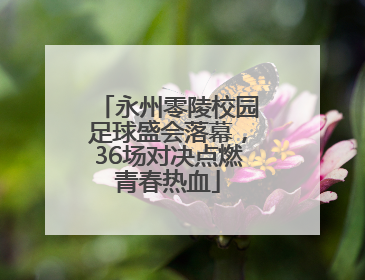 永州零陵校园足球盛会落幕，36场对决点燃青春热血