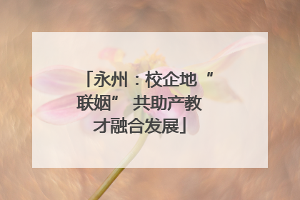 永州：校企地“联姻” 共助产教才融合发展