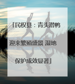 民权县：青头潜鸭迎来繁殖盛景 湿地保护成效显著