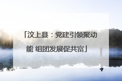 汶上县：党建引领聚动能 组团发展促共富