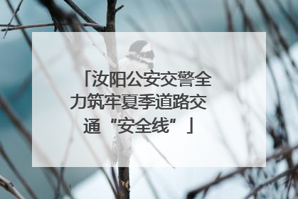 汝阳公安交警全力筑牢夏季道路交通“安全线”