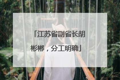 江苏省副省长胡彬郴，分工明确