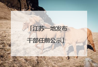 江苏一地发布干部任前公示