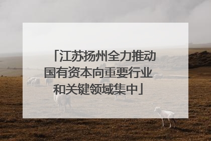 江苏扬州全力推动国有资本向重要行业和关键领域集中