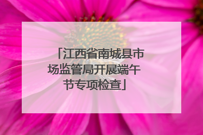 江西省南城县市场监管局开展端午节专项检查