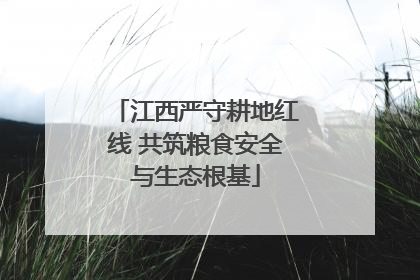 江西严守耕地红线 共筑粮食安全与生态根基