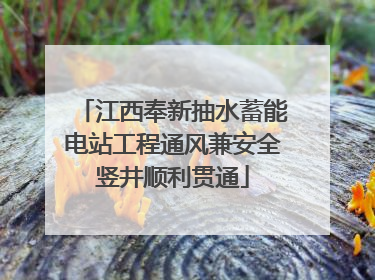 江西奉新抽水蓄能电站工程通风兼安全竖井顺利贯通