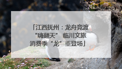 江西抚州：龙舟竞渡“嗨翻天” 临川文旅消费季“龙”重登场