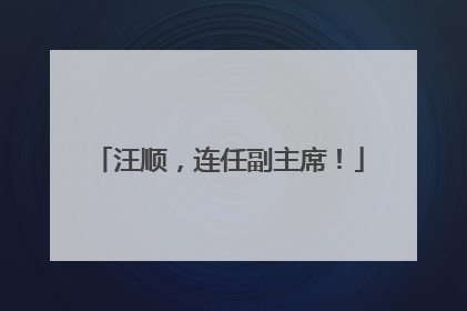汪顺，连任副主席！