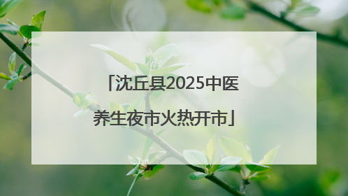 沈丘县2025中医养生夜市火热开市