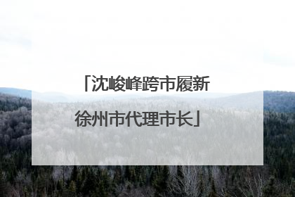 沈峻峰跨市履新徐州市代理市长
