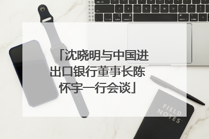 沈晓明与中国进出口银行董事长陈怀宇一行会谈