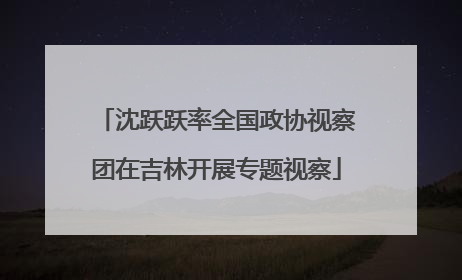 沈跃跃率全国政协视察团在吉林开展专题视察