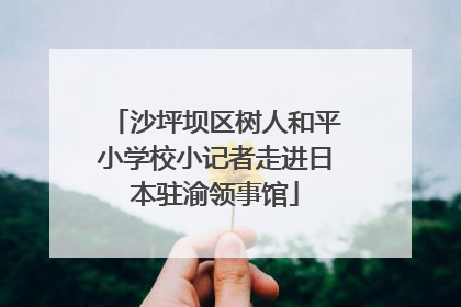 沙坪坝区树人和平小学校小记者走进日本驻渝领事馆