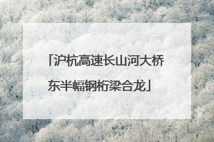沪杭高速长山河大桥东半幅钢桁梁合龙