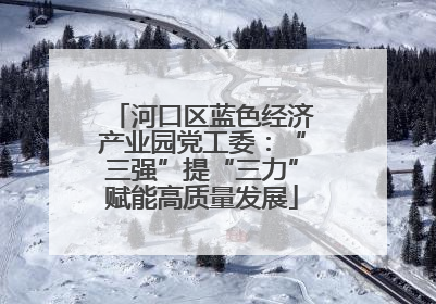 河口区蓝色经济产业园党工委：“三强”提“三力”赋能高质量发展