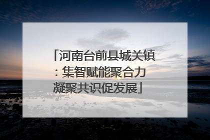 河南台前县城关镇：集智赋能聚合力 凝聚共识促发展