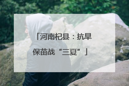 河南杞县：抗旱保苗战“三夏”